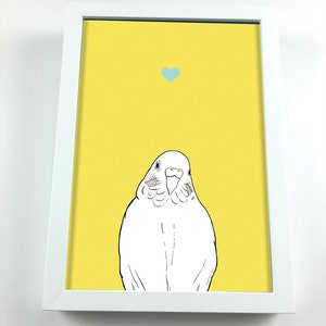 Budgie A4 Pet Print - cute wall art - gift for animal lovers - budgie - budgerigar - gift for budgie lovers - print - pet - animal