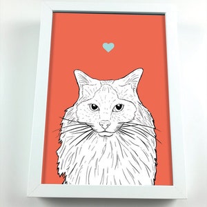 Ragdoll Cat A4 Print - cat gift- wall art - gift for cat lovers - kitten - cat - kitty - moggie - print - pet - animal - fluffy