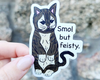 Smol but Feisty Cat Meme Sticker, Cat Sticker, Kitty Sticker, Weird Cat Art, Cat Gift, Munchkin Cat, Angry Cat Gift, Funny Cat Gift