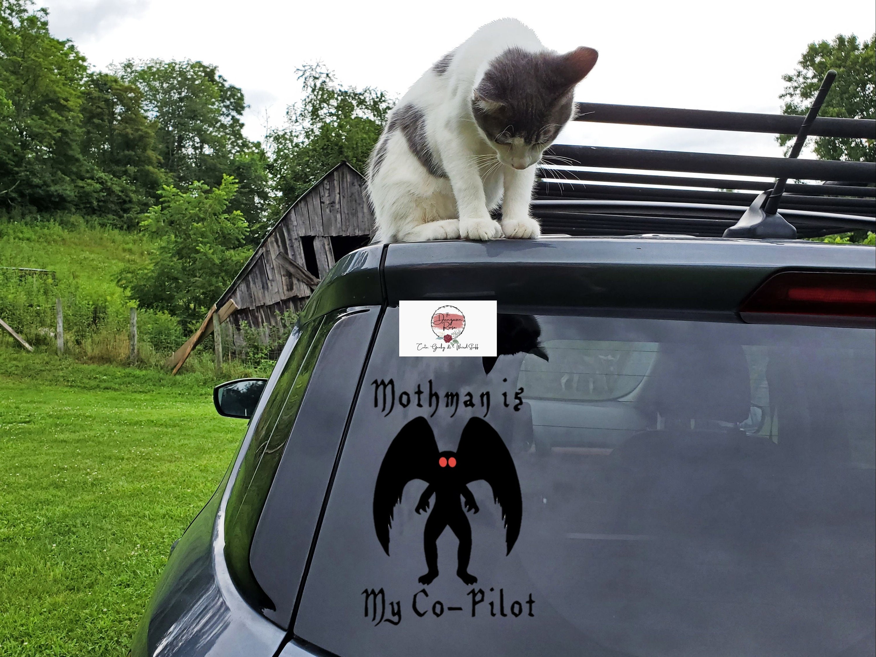 Mothman Art Mothman Decal Mothman Sticker WV Cryptid | Etsy