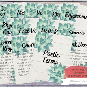 Poetry Terms Printable Poster Set, Literary Devices, Literature Poster, High School English, Literature Teacher, English Classroom