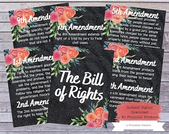 Bill of Rights Printable Poster Set, US Constitution Wall Art, US Amendments, US Government, Government Teacher, Government Poster