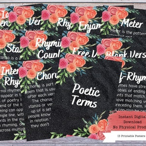 Poetry Terms Printable Poster Set, Literary Devices, Literature Poster, High School English, Literature Teacher, English Classroom