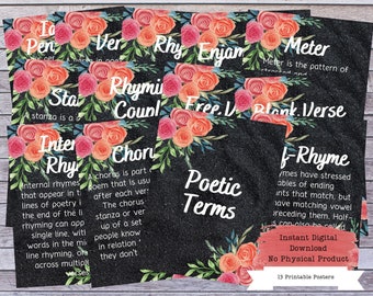 Poetry Terms Printable Poster Set, Literary Devices, Literature Poster, High School English, Literature Teacher, English Classroom