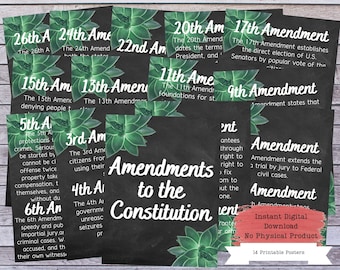 US Amendments Printable Poster Set, US Constitution Wall Art, Bill of Rights, US Government, Government Teacher, Government Poster