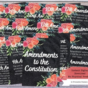 US Änderungswünsche druckbares Poster-Set, US Verfassung, Wandkunst, Bill of Rightes, US Regierung, Regierungslehrer, Regierungsposter