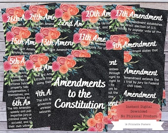 US Amendments Printable Poster Set, US Constitution Wall Art, Bill of Rights, US Government, Government Teacher, Government Poster