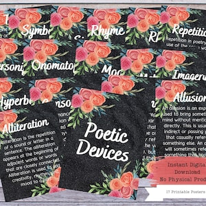 Poetry Printable Poster Set, Literary Devices, Literature Poster, High School English, Literature Teacher, English Classroom