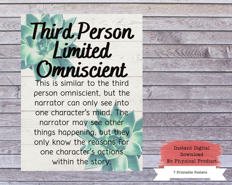 Literary Point of View Printable Poster Set, Literature Poster, High ...