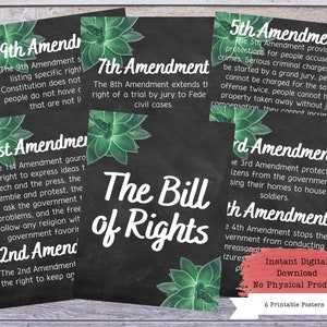 Bill of Rightes druckbares Poster-Set, US-Verfassung, Wandkunst, US-Änderungen, US-Regierung, Regierungslehrer, Regierungsposter