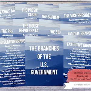 US Government Posters, History Decor, History Poster, Social Studies, History Class, History Defined, History Teacher, History Classroom