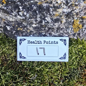 May include: A white rectangular card with the text "Health Points" and the number "17" written in black. The card is decorated with ornate corner designs. The card rests on a bed of green moss, with a textured rock background.