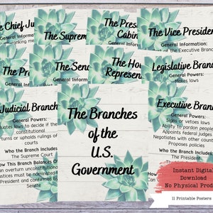 US Government Posters, History Decor, History Poster, Social Studies, History Class, History Defined, History Teacher, History Classroom