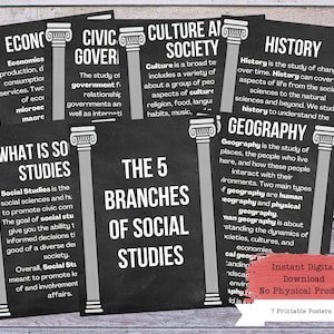 Social Studies Branches, History Classroom, History Class, History Defined, History Poster, History Teacher, History Decor
