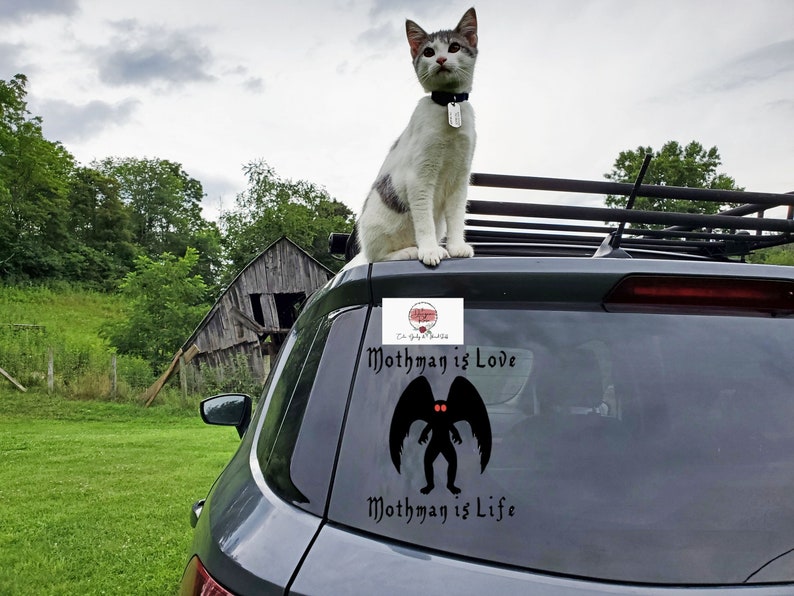 Mothman Sticker WV Cryptid Cryptid Sticker Mothman Wings Cryptid Decal Mothman Art Mothman Car Decal Cryptid Core CryptidCore