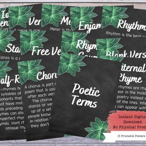 Poetry Terms Printable Poster Set, Literary Devices, Literature Poster, High School English, Literature Teacher, English Classroom