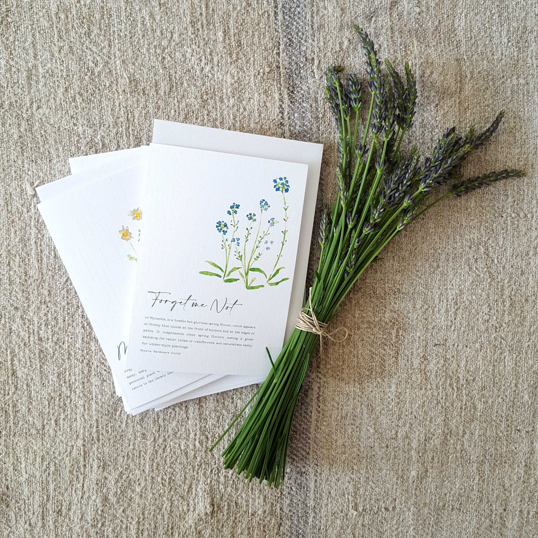 Pack of 6 Spring Flowers A6 Cards - Etsy