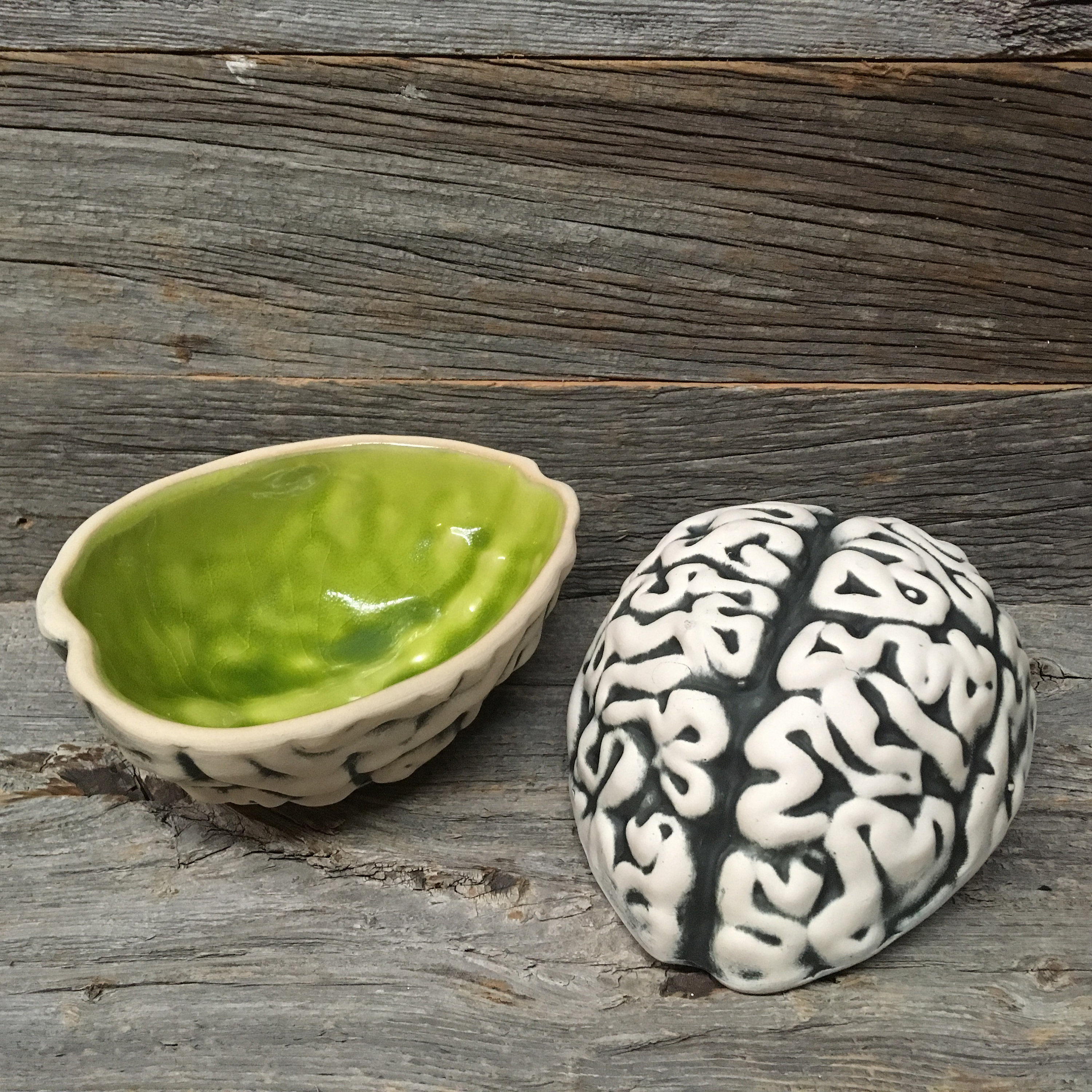 Brain Bowl Etsy
