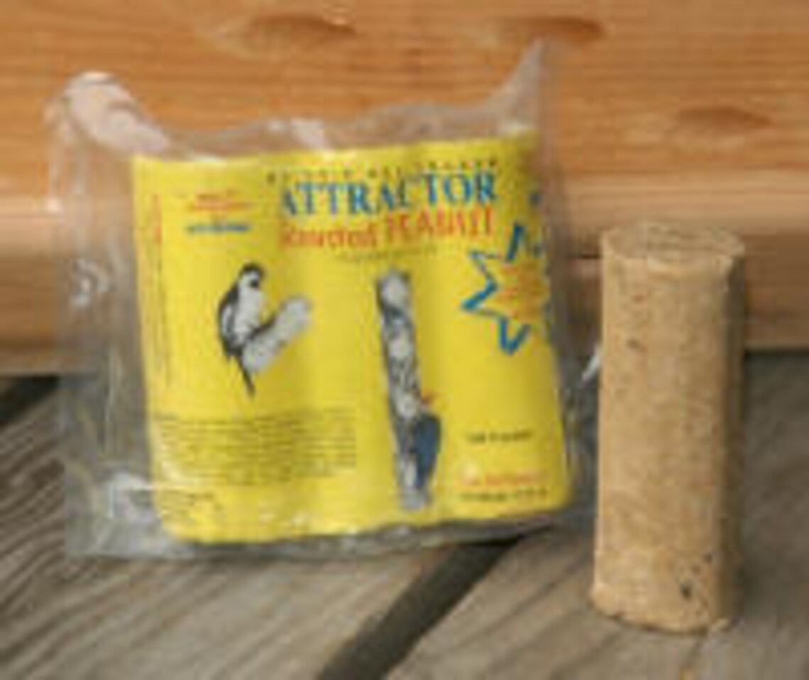 Attractor Roasted Peanut Suet Plugs 404 Etsy