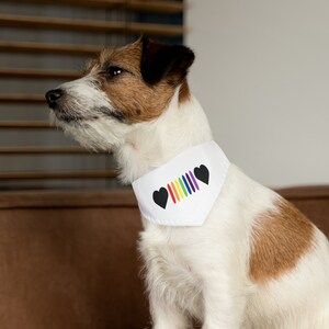Off Road Pride- Pet Bandana Collar