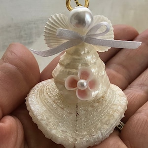 Heart shell angel/Heart Shell ornament /Shell angel/sea urchin ornament