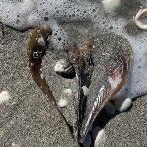 May include: A heart shape formed by a large, dark brown shell on a sandy beach. White sea foam surrounds the shell, with several smaller seashells scattered around. The image is taken from a slightly elevated angle, capturing the details of the sand and shells.