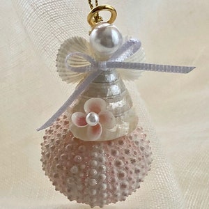 Shell ornament /Shell angel/sea urchin ornament