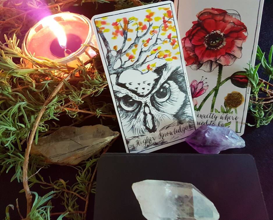 3 card Oracle Reading with The Connected and Free Oracle ...