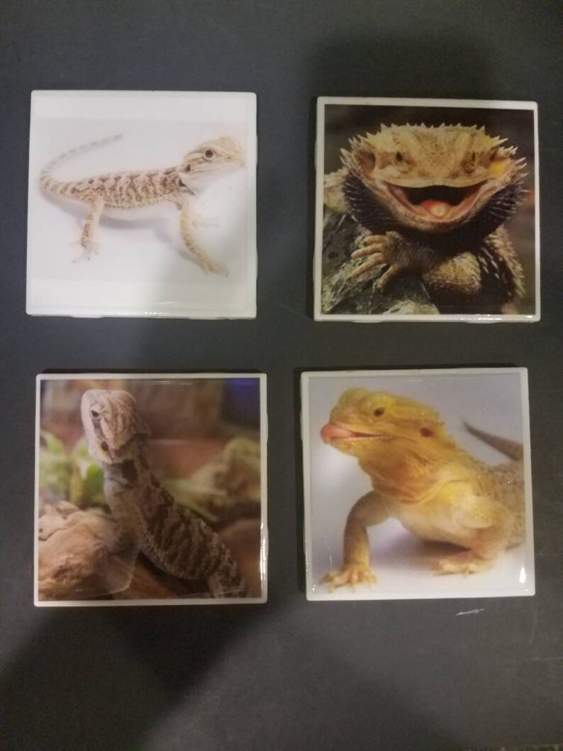 Bearded Dragons Ceramic Coasters Handmade Set Of 4 Image 0