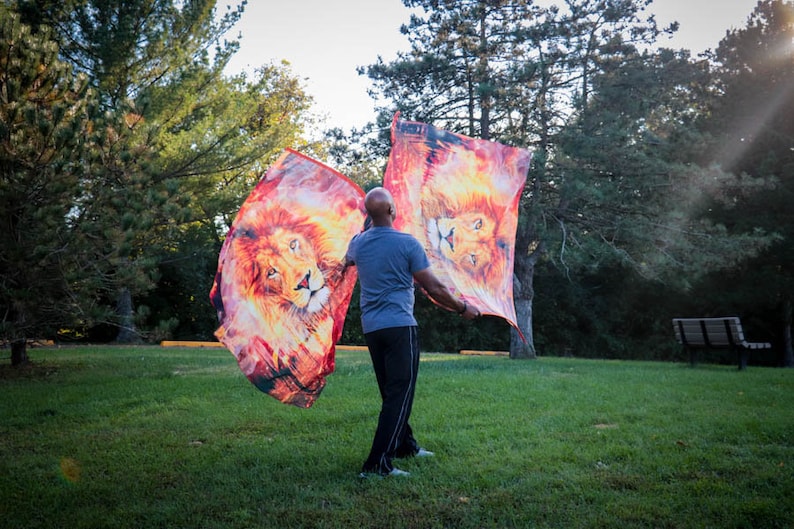 May include: A person in a grey shirt and black pants is holding two flags with lion images. The flags are red, orange, and yellow with a lion's face in the center. The person is standing in a grassy field with trees in the background.