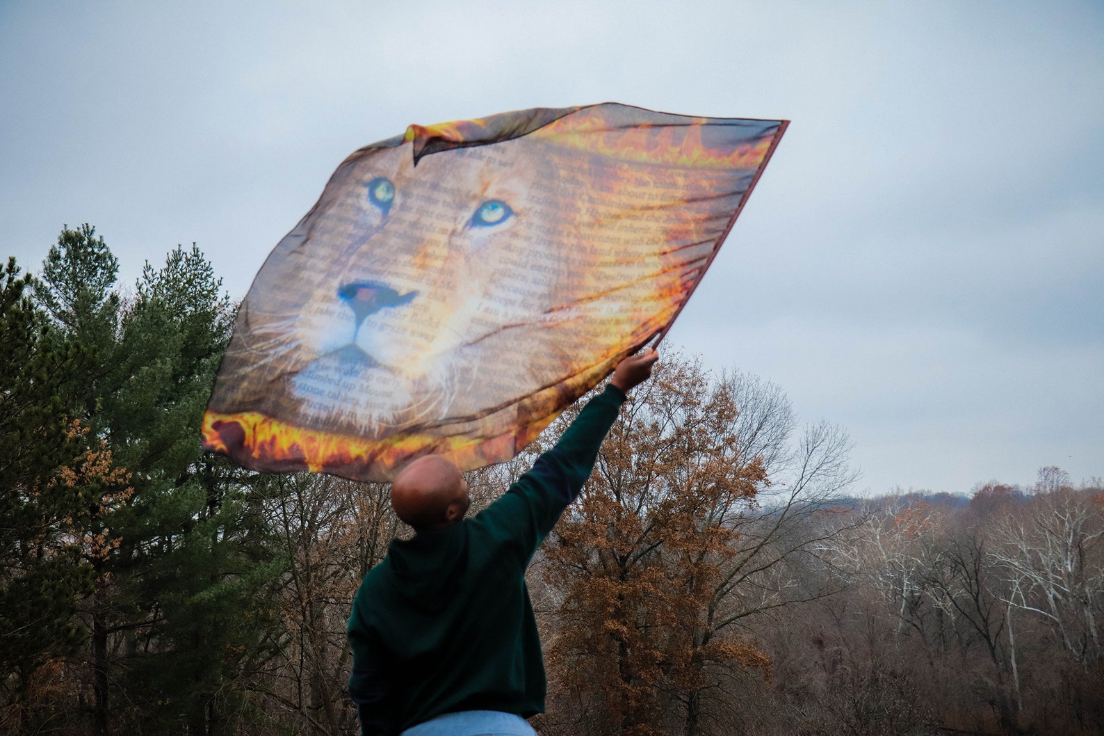 Lion of Judah 2 Worship Flag Prophetic Art Lion Flag Etsy