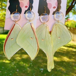 Real luna moth wing forget me not earrings, Hypoallergenic earrings