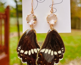 Real big butterfly wing in resin earrings, Real insect wing earrings, Hypoallergenic