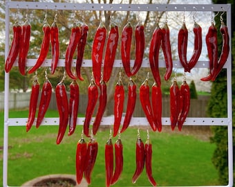 Dried chili pepper handmade resin earrings, Botanical earrings, Real veggie earrings, Hypoallergenic silver hook, Teacher gifts
