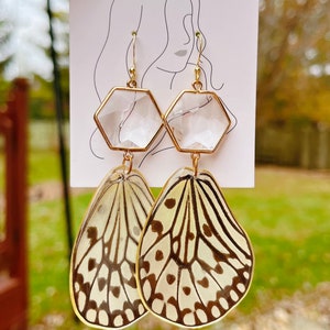 Real big butterfly wing in resin earrings, Real insect wing earrings, Hypoallergenic