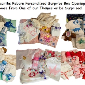 Reborn Silicone Baby Shower Box Opening For Girl Items 0-3 Months W Medium  Plush