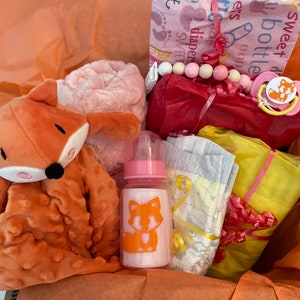 Baby Girl Fox themed Reborn Baby Doll clothing and Accessories Shower Surprise  Box Opening