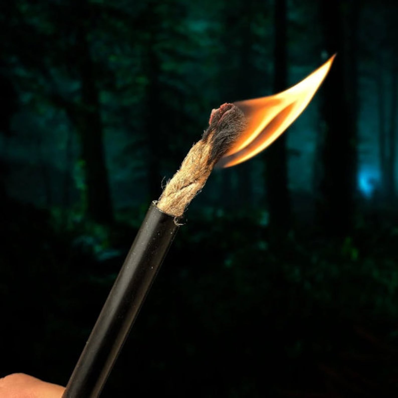 Survival Fire Starting Gear Fatwood Ferro Rod Torch Striker Etsy