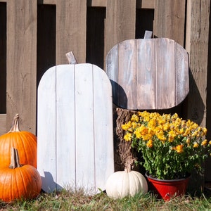 Fall Decor Halloween Decorations Rustic Wooden Pumpkins - Set of 2