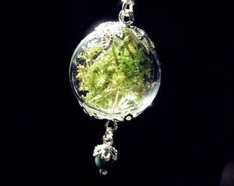 Silvery "Necklace Moss" - with real flower petals