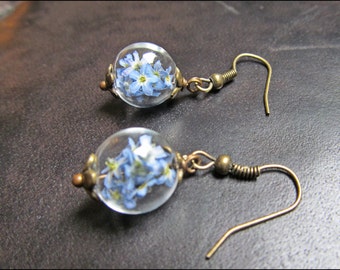 Delicate forget-me-not earrings with real flowers in bronze or silver colored glass balls