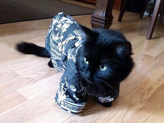 Kimono Pour Chat Deguisement Pour Chat Kimono Japonais Chat Etsy Kimono Pour Chat Deguisement Pour Chat Kimono Japonais Chat Etsy