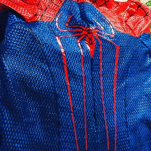 May include: Close-up of a blue and red Spiderman costume with a spider web design. The costume has a textured surface.