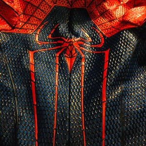 May include: Close-up of a blue and red Spiderman costume with a web design. The costume has a red spider logo on the chest.