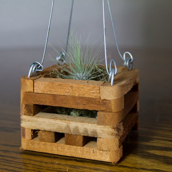 Wooden Air Plant Holder | Wooden Plant Holder | Hanging Fruit Holder | Slat Box