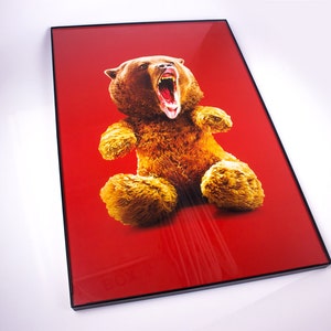 Teddy Bear or Grizzly Bear? 11" x 17" Print w/ Glass Frame