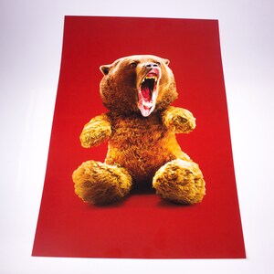Teddy Bear or Grizzly Bear? 11" x 17" Print