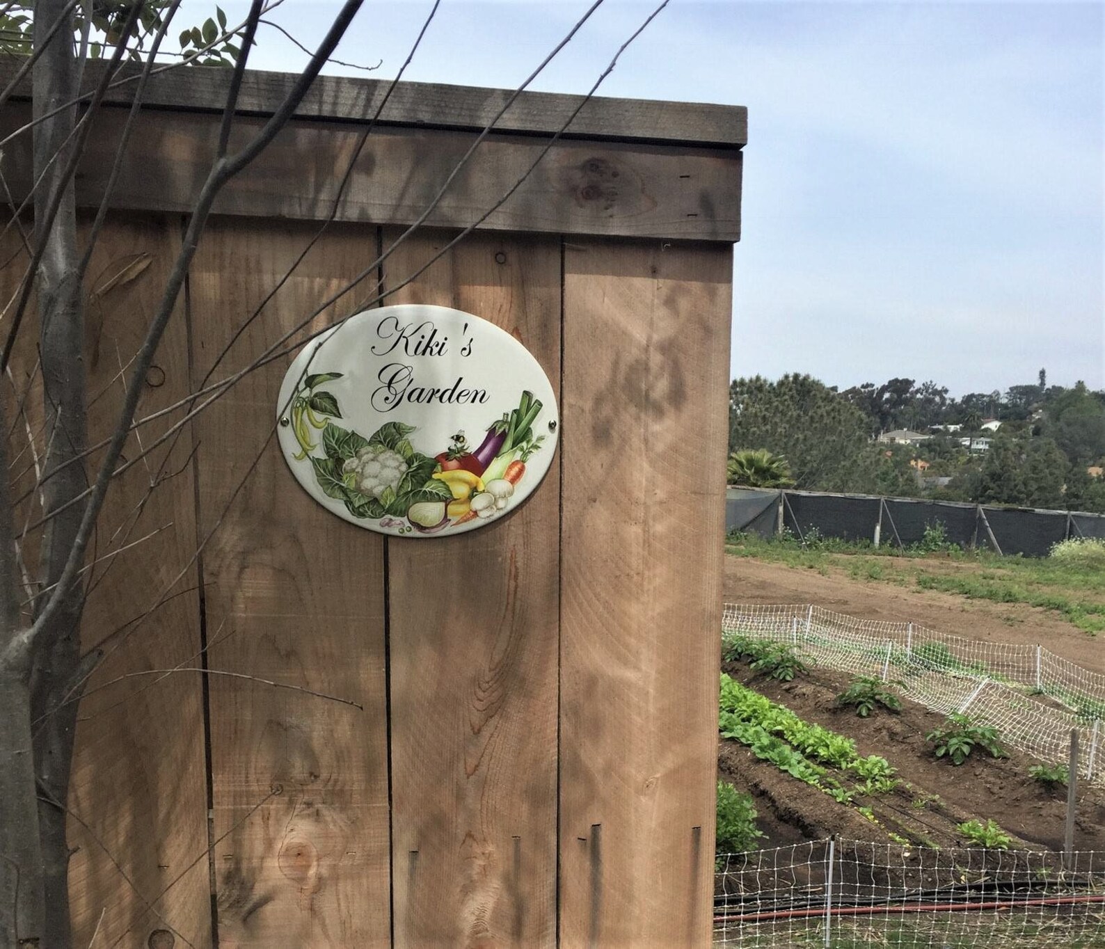 Personalized Vegetable Garden Sign Custom Vegetable Garden Etsy
