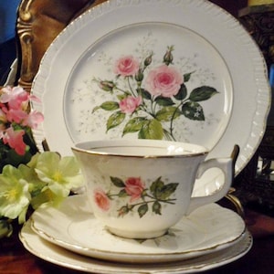 May include: A white teacup and saucer set with a delicate floral design featuring pink roses and green leaves. The set has a gold trim and is part of a larger set of dishes.