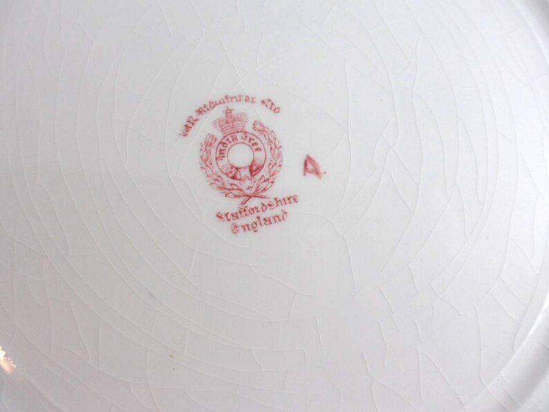 Midwinter Ltd Staffordshire England Red Transferware -10-18 W.R India Tree Dinner Plate